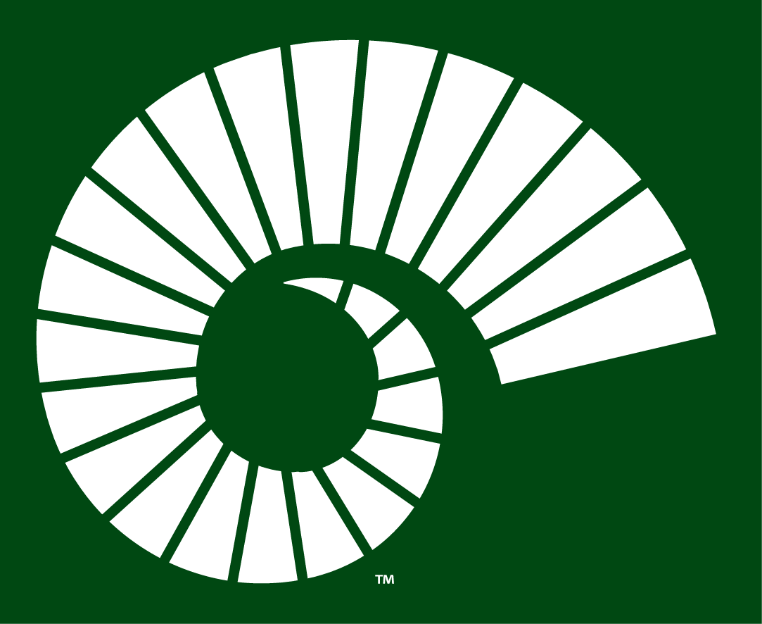 Colorado State Rams 2015-Pres Alternate Logo v3 iron on transfers for fabric
